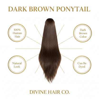 Dark Brown Ponytail - Infographic