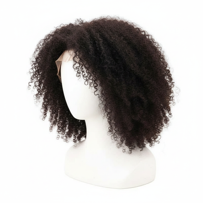 Afro Kinky 4x4 Transparent Closure Wig - Main